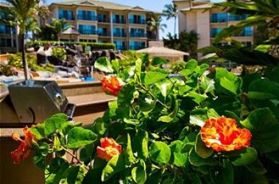 Waipouli Beach Resort D101