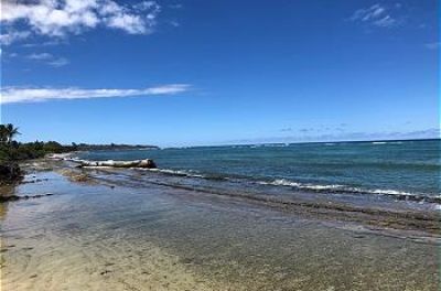 Kauai Kailani 318