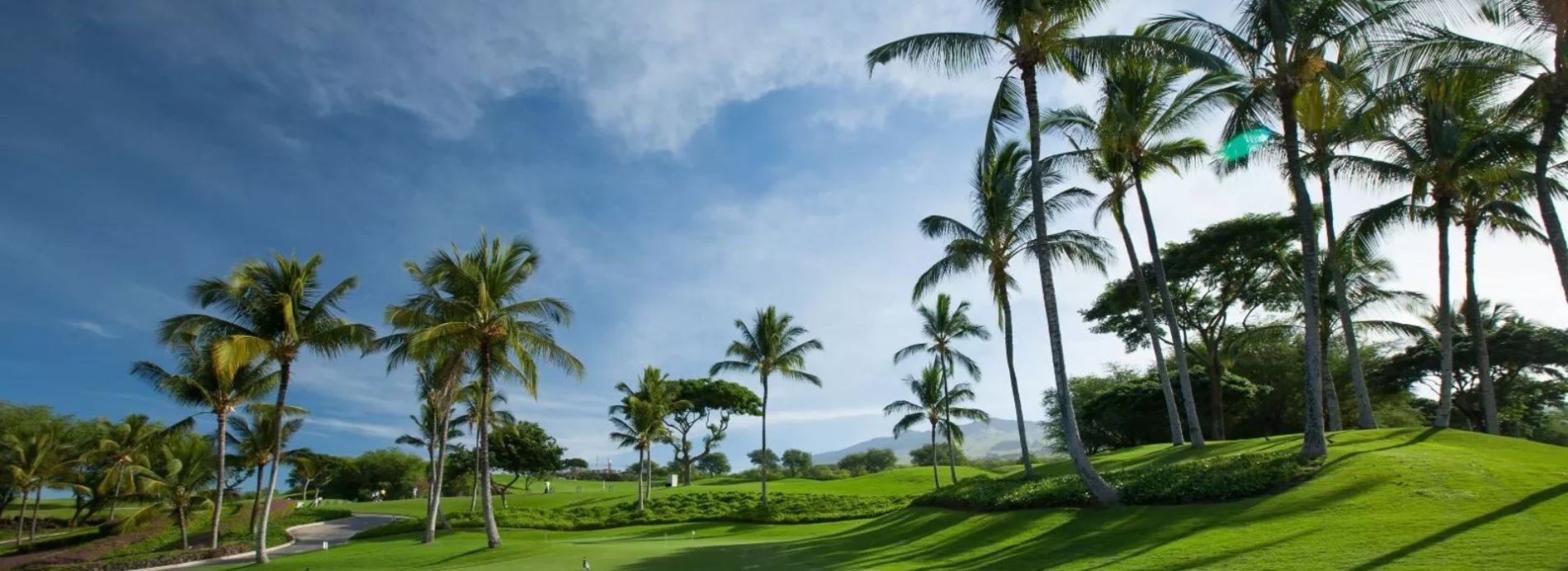 Golf course in Kauai