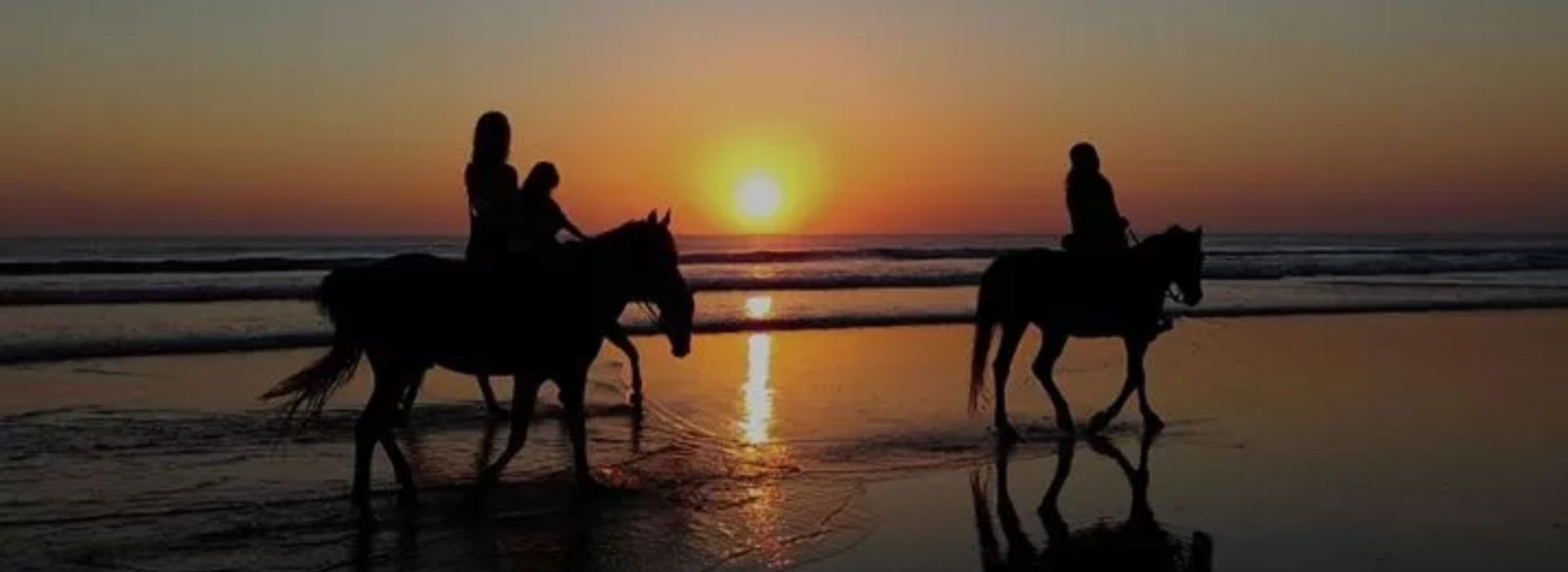 horseback riding on beach at sunset