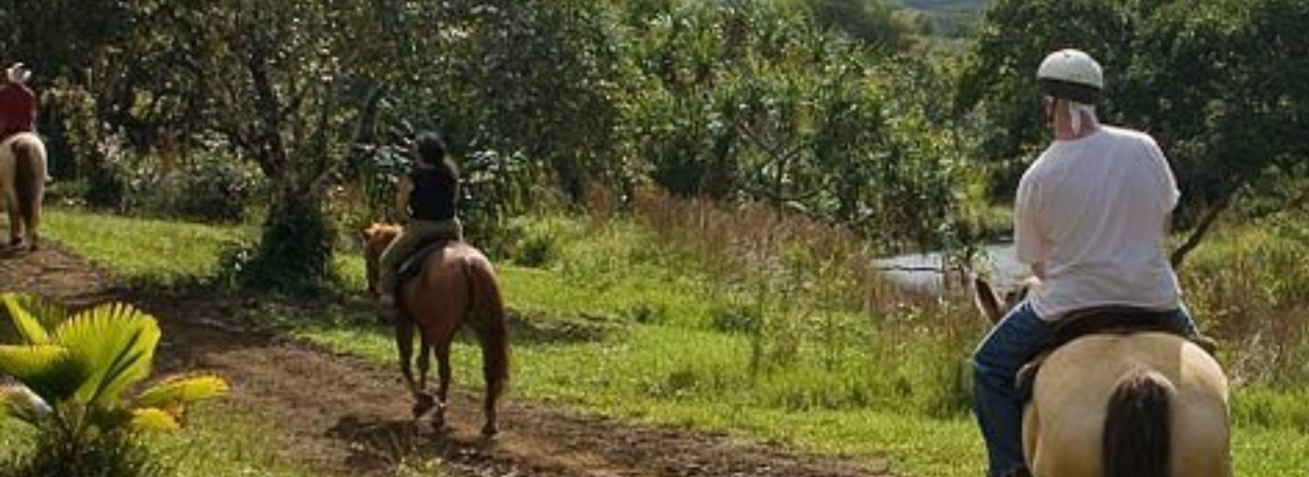 Horseback riding on kauai