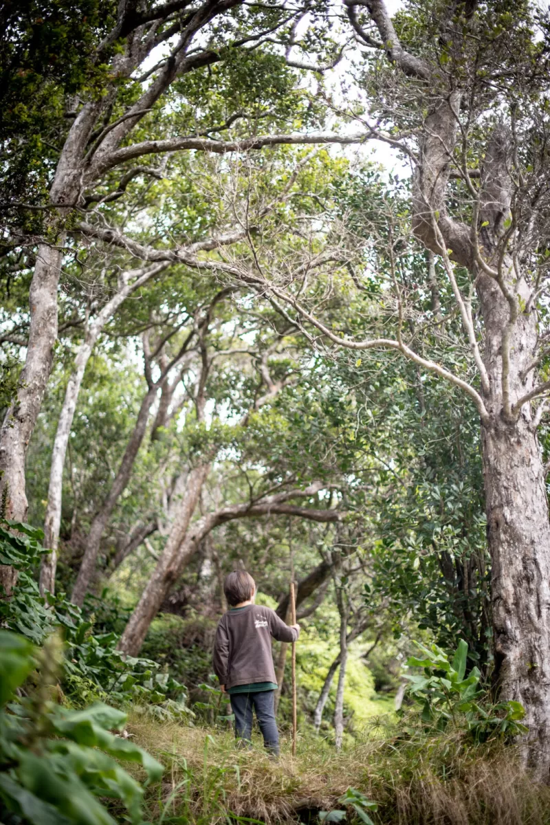 boy on a hiking trail on Kauai