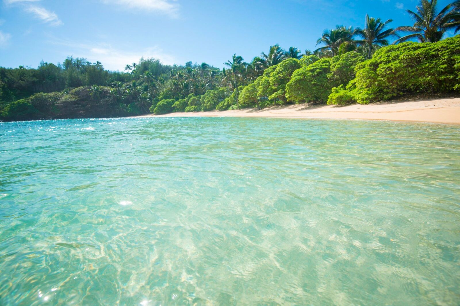 Total and Complete List of Every Beach on Kauai Your Ultimate Guide