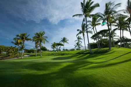 a golf course in hawaii with lush greens and lots of palm trees
