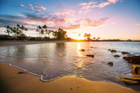 shutterstock_1662957937 header 0323 | Kauai Calls sunrise over a tropical beach with palm trees, calm water, and rocks along the shore in warm colors.